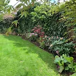 Exklusive Mit Herrlicher Terrasse Und Garten דירה