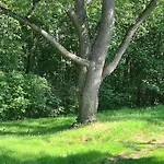 Exklusive Mit Herrlicher Terrasse Und Garten דירה *
