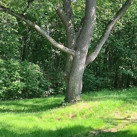 Exklusive Mit Herrlicher Terrasse Und Garten Appartement *