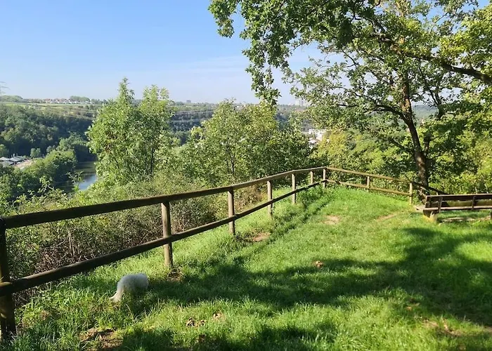 Appartement Exklusive Mit Herrlicher Terrasse Und Garten Ludwigsburg